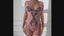 Secretwhisperss Pure Desire Style Embroidery Splicing Polka Dot Mesh Bodysuit